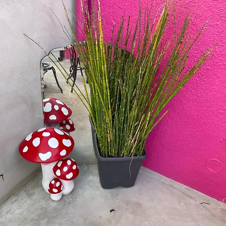 La Berlingote *